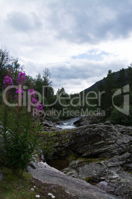 Fluss Rauma, Oppland, Norwegen