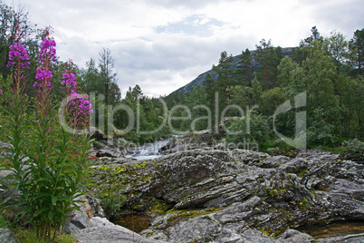 Fluss Rauma, Oppland, Norwegen