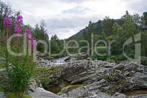 Fluss Rauma, Oppland, Norwegen