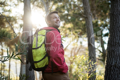 Thoughtful man standing in forest