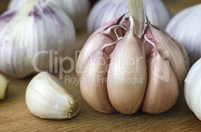 Garlic on the table closeup.