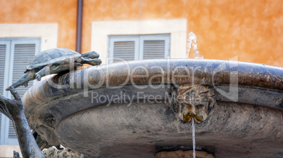 Detail of the famous Fontana delle Tartarughe (the turtles fount