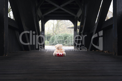 Stuffed bear toy and gift on a bridge