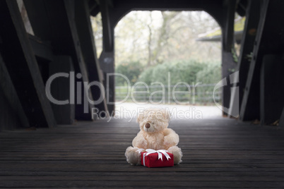 Teddy bear and gift in a wooden tunnel