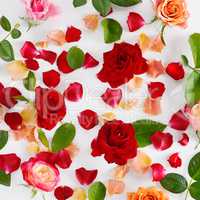 Flowers composition. Red roses on a white wooden background.