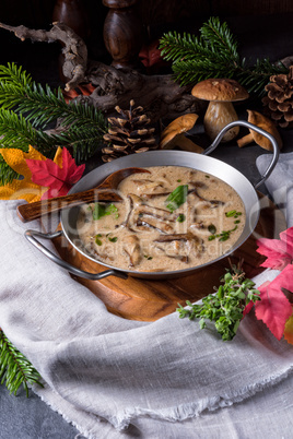 Tasty mushroom sauce