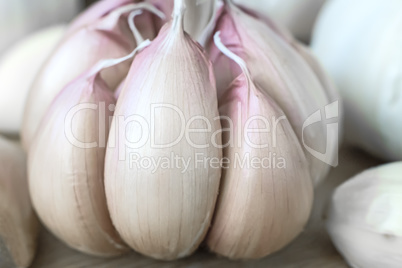 Garlic on the table closeup.