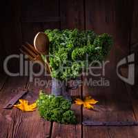 Kale Brassica oleracea