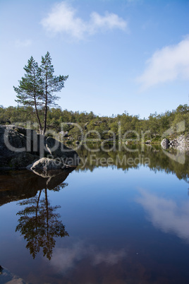 Am Weg zum Preikestolen, Rogaland, Norwegen