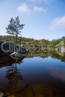 Am Weg zum Preikestolen, Rogaland, Norwegen