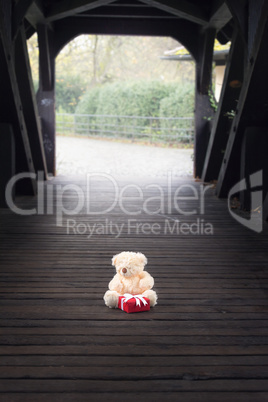 Stuffed toy and gift in a wooden tunnel