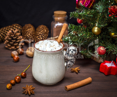 hot chocolate with white marshmallow