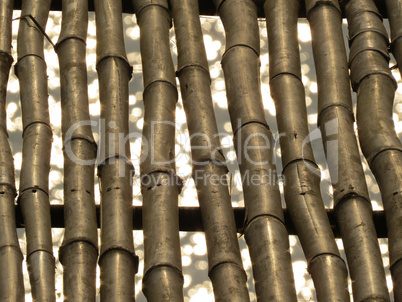 The Bamboo Background