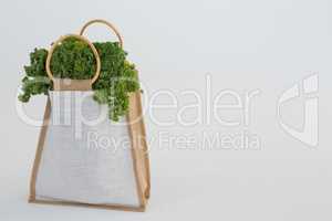 Bag of leafy vegetables