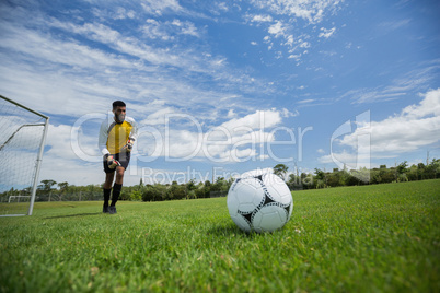 Goalkeeper ready to kick the soccer ball