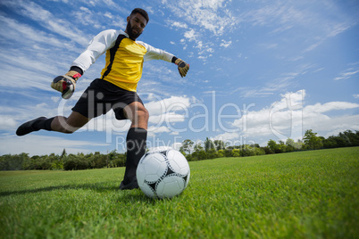 Goalkeeper kicking football in the ground