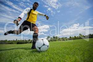 Goalkeeper kicking football in the ground