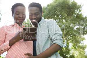 Couple using digital tablet in park