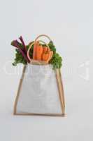 Bag of healthy vegetables