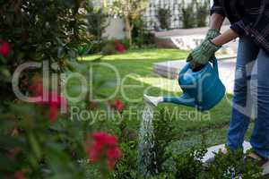 Low section of woman watering plants in garden