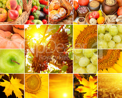 Autumn collage of fruits, vegetables, yellow leaves.