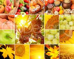 Autumn collage of fruits, vegetables, yellow leaves.