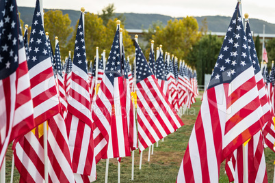 Field of Veterans Day American Flags Waving in the Breeze.