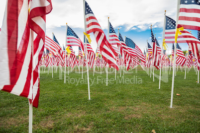 Field of Veterans Day American Flags Waving in the Breeze.