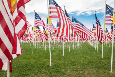 Field of Veterans Day American Flags Waving in the Breeze.