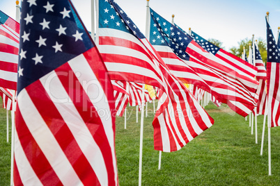 Field of Veterans Day American Flags Waving in the Breeze.