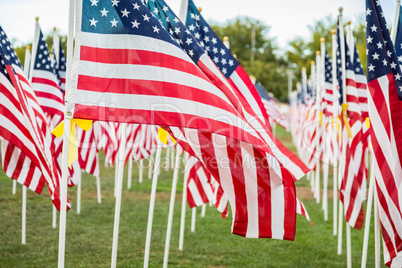 Field of Veterans Day American Flags Waving in the Breeze.