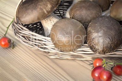 White strong mushrooms in a basket on the table surface