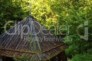wooden Orthodox Church in the forest in summer