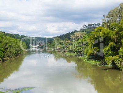 River bank with forest, on sunny day of tranquility