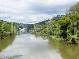 River bank with forest, on sunny day of tranquility