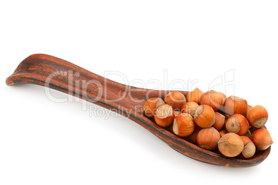 Forest nuts hazelnuts isolated on white .