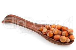 Forest nuts hazelnuts isolated on white .