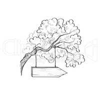 Arrow signpost on the tree branch. Doodle wooden road sign. Plan