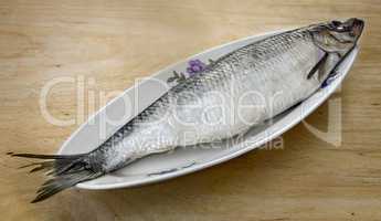 Herring on the table on a ceramic dish.
