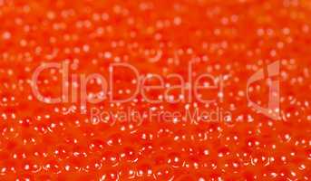 red caviar