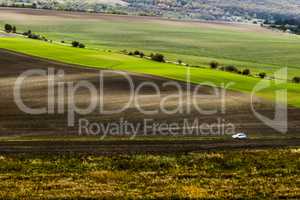 Landscape of field, small car crossing.