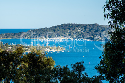 Scenic Ocean Panorama Sydney S Northern Beaches Panoramic Day