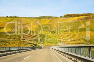 gelbe Weinberge und Brücke