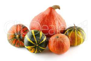 rpumpkins isolated on white background