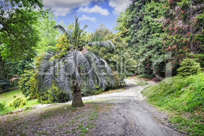 A beautifully decorated area of the arboretum.