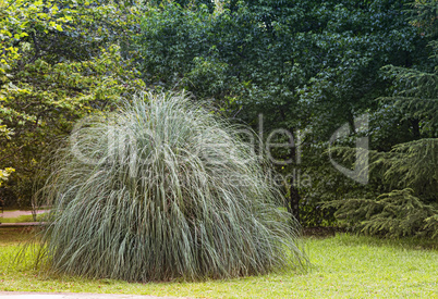 A beautifully decorated area of the arboretum.