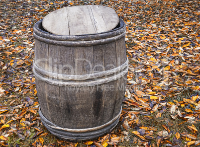 Oak barrel on the ground on a background of autumn leaves.