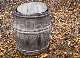 Oak barrel on the ground on a background of autumn leaves.