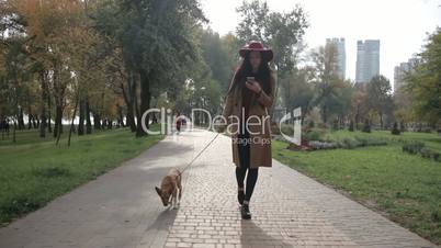 Charming woman texting on phone while walking dog