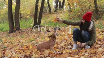Beautiful woman with dog playing in autumn park